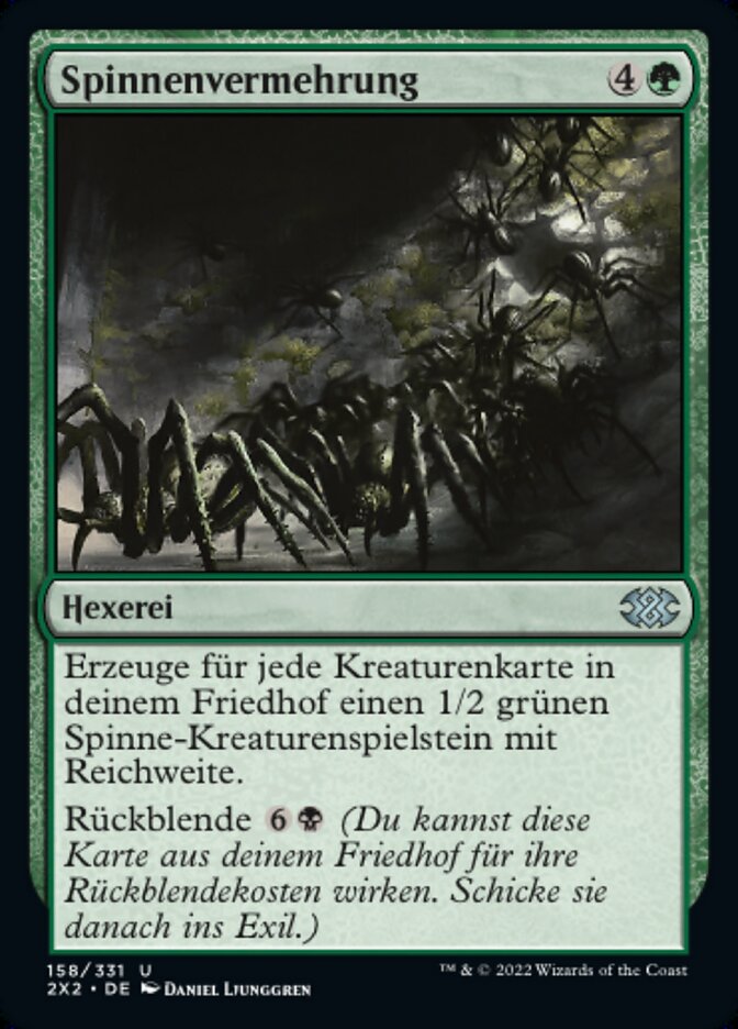 Spinnenvermehrung