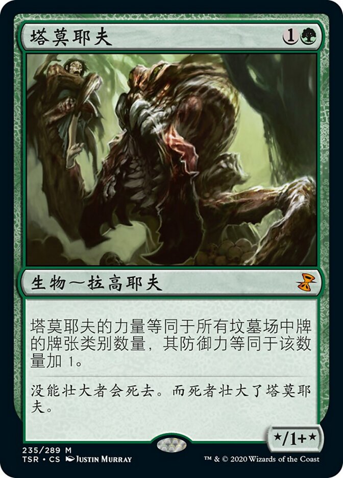 塔莫耶夫