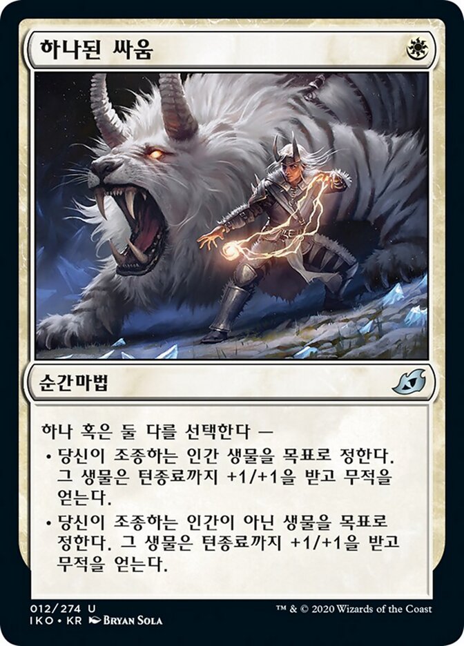 하나된 싸움