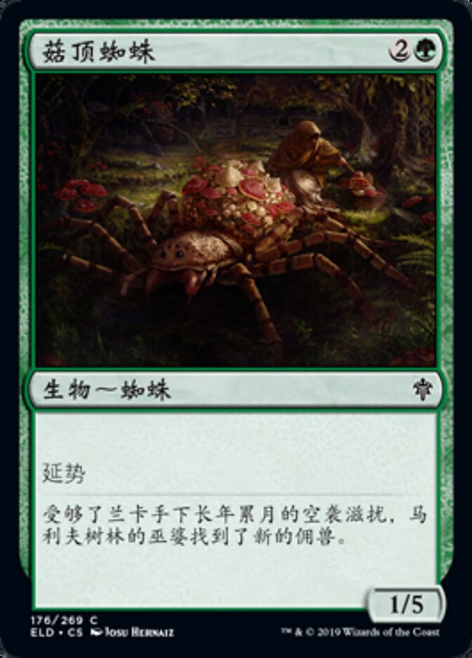 菇顶蜘蛛