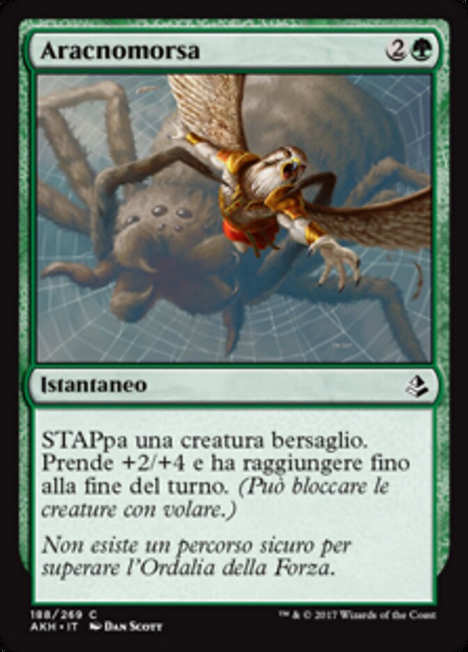 Aracnomorsa