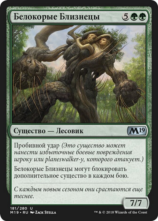 Белокорые Близнецы