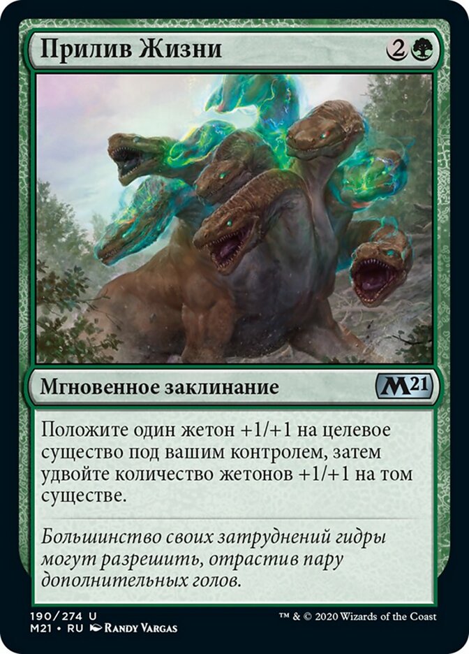 Прилив Жизни
