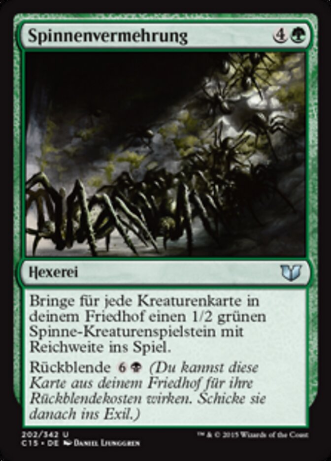 Spinnenvermehrung