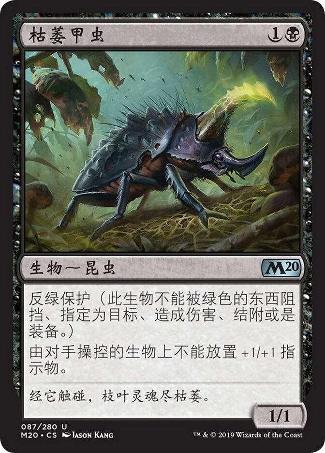枯萎甲虫