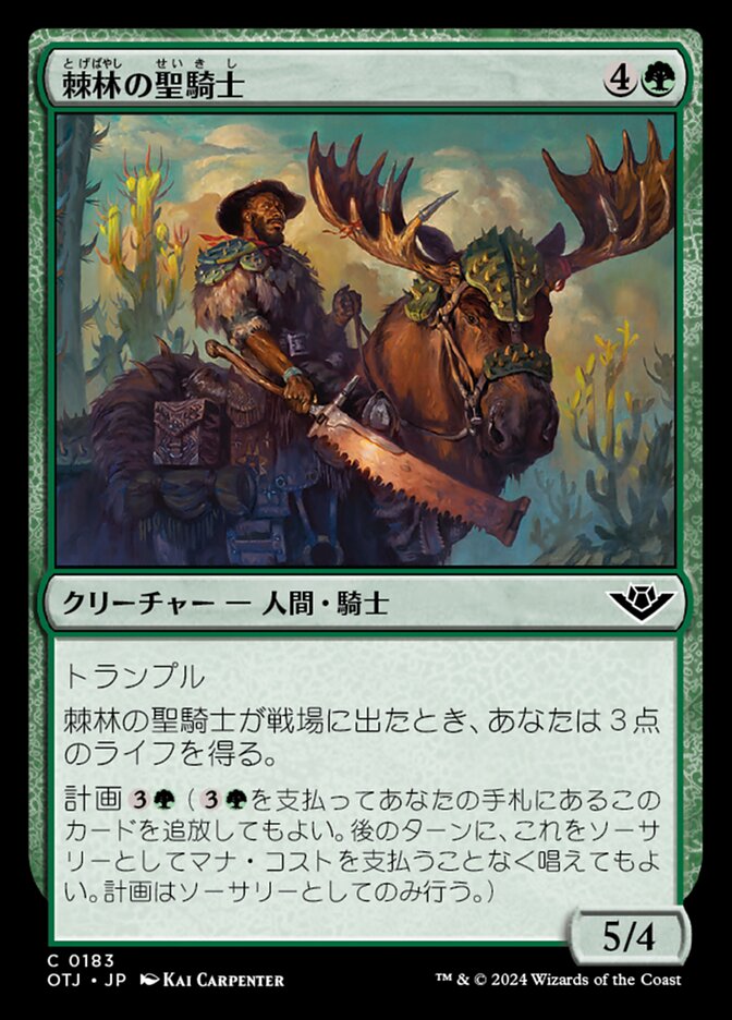 棘林の聖騎士