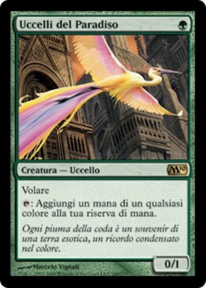 Uccelli del Paradiso
