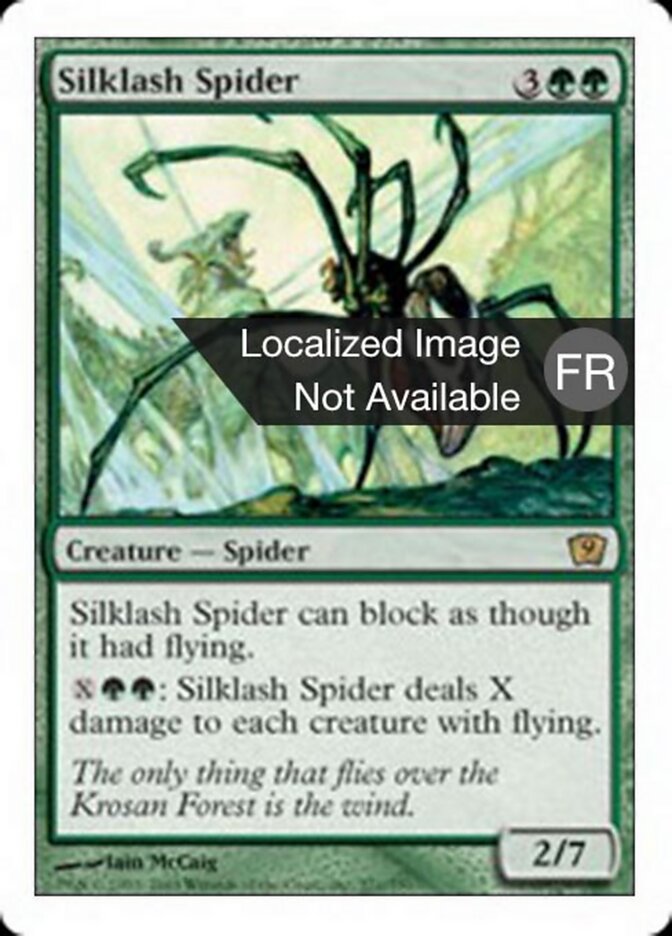 Araignée fouettesoie