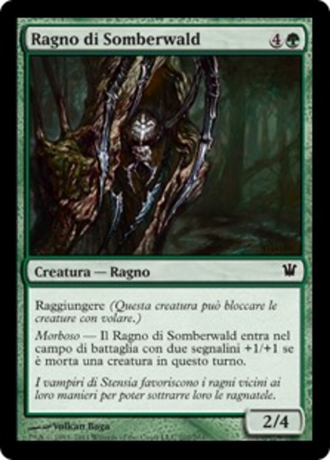 Ragno di Somberwald