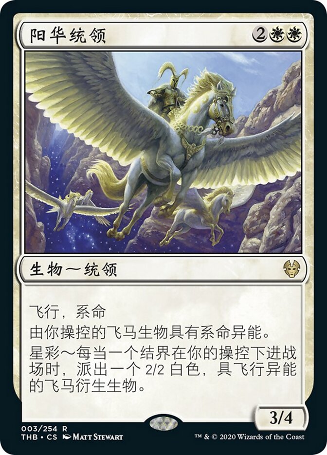 阳华统领
