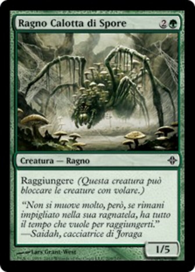 Ragno Calotta di Spore