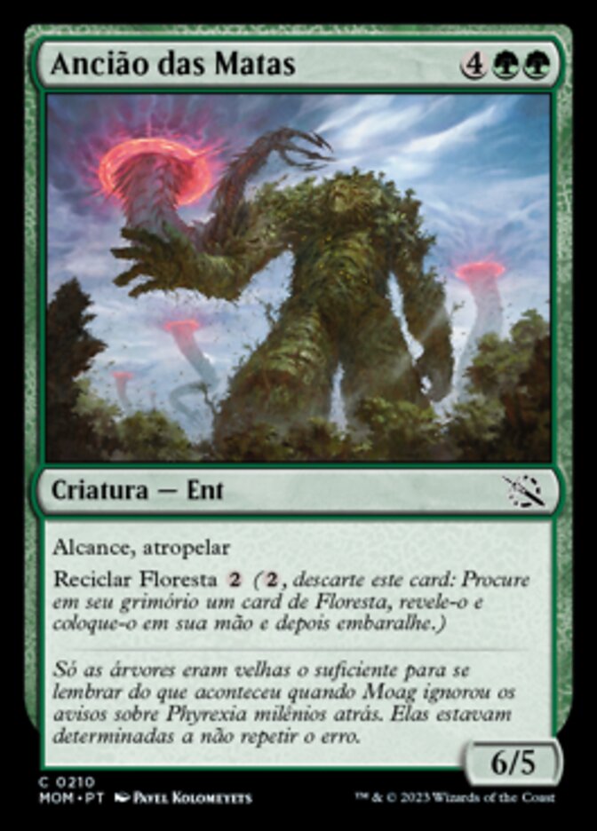 Ancião das Matas