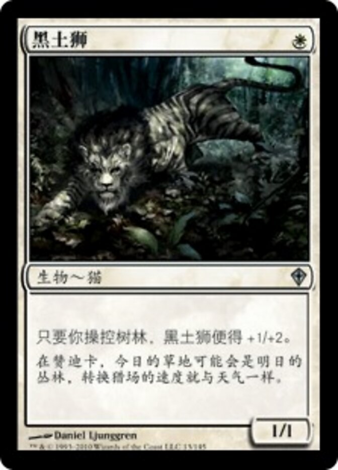黑土狮