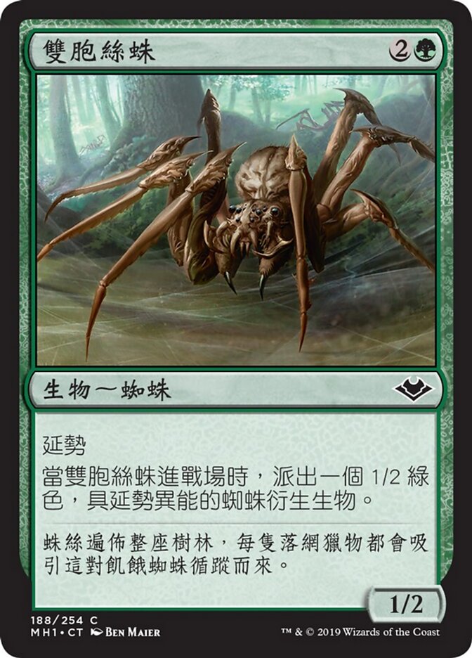 雙胞絲蛛