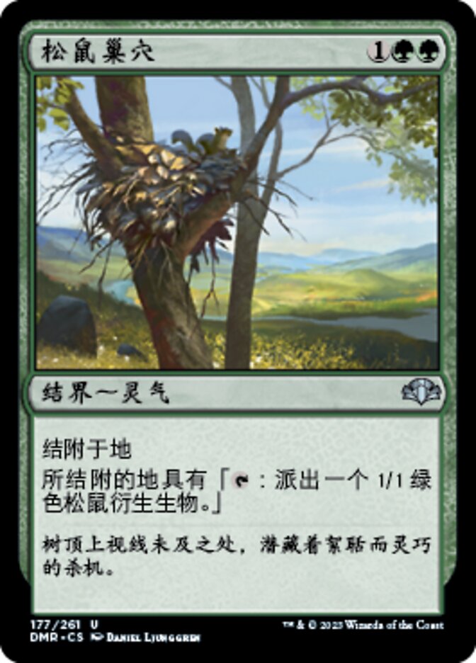 松鼠巢穴
