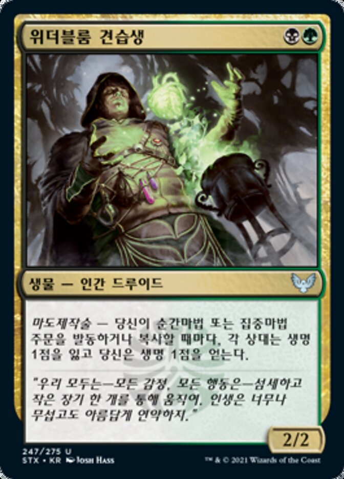 위더블룸 견습생