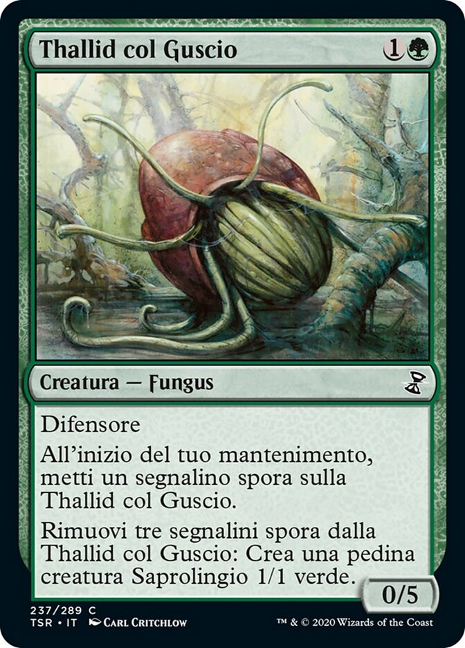Thallid col Guscio