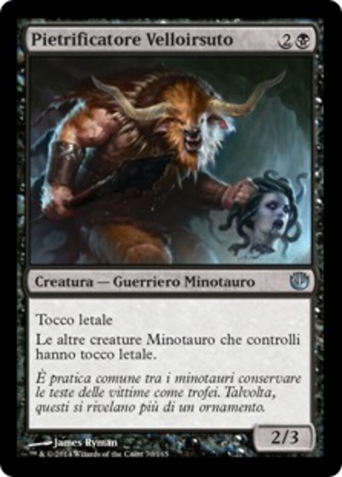 Pietrificatore Velloirsuto