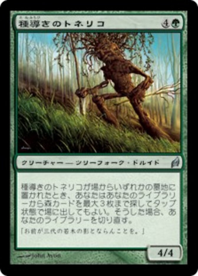 種導きのトネリコ