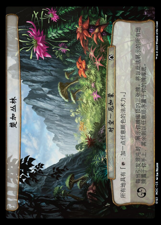 楚加丛林