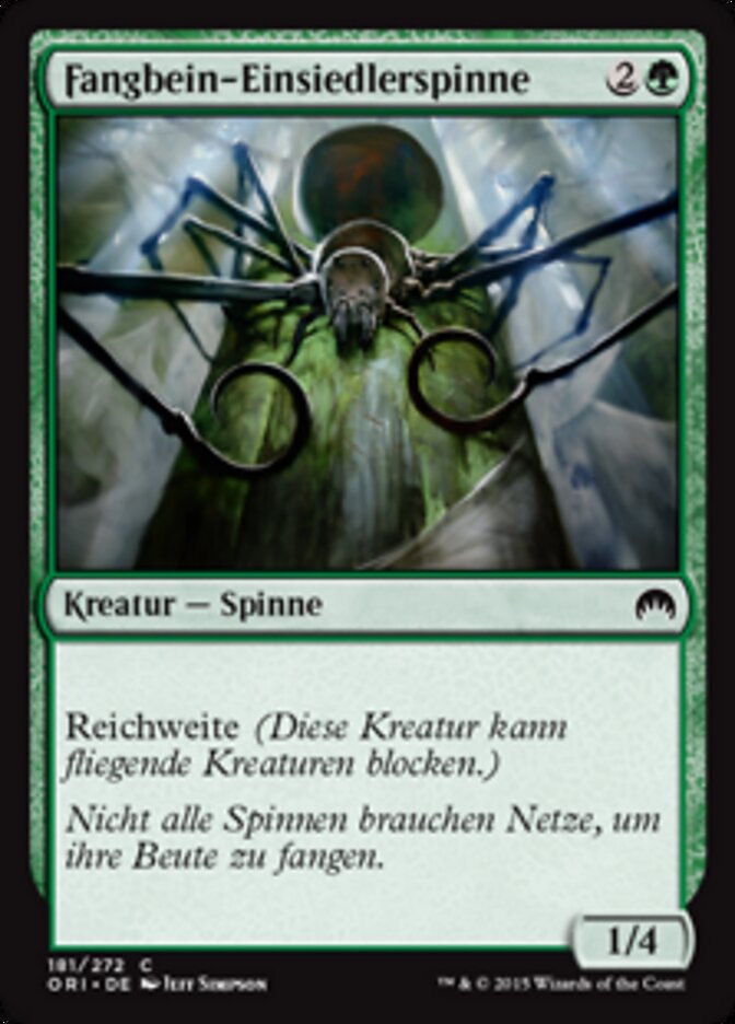 Fangbein-Einsiedlerspinne