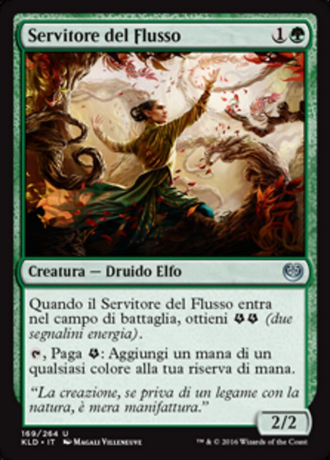 Servitore del Flusso