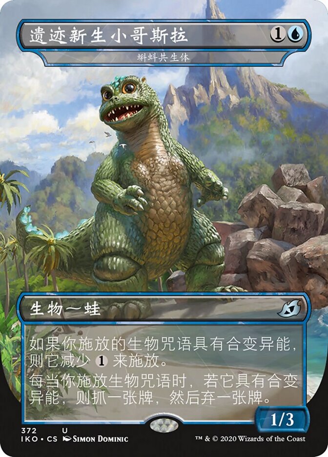 蝌蚪共生体