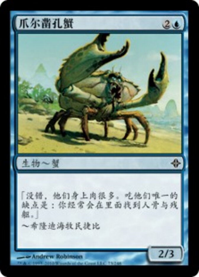 爪尔凿孔蟹