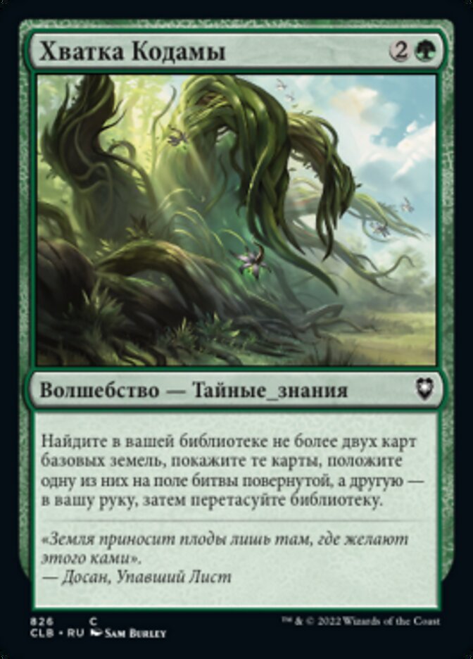 Хватка Кодамы