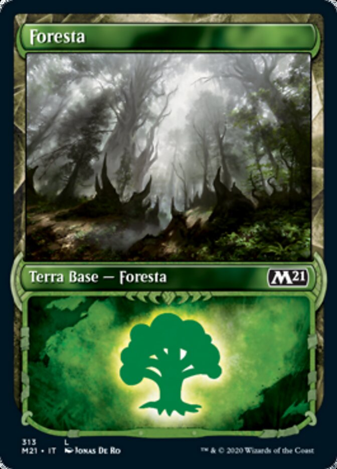 Foresta