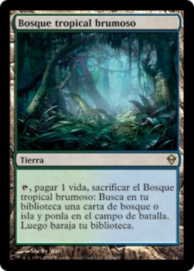 Bosque tropical brumoso