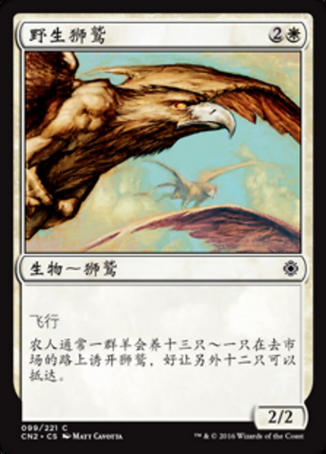 野生狮鹫