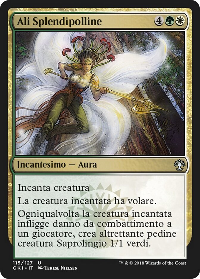 Ali Splendipolline