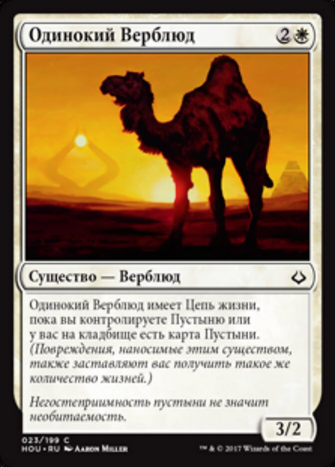 Одинокий Верблюд