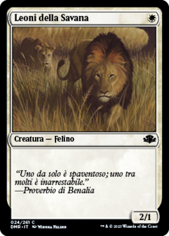 Leoni della Savana