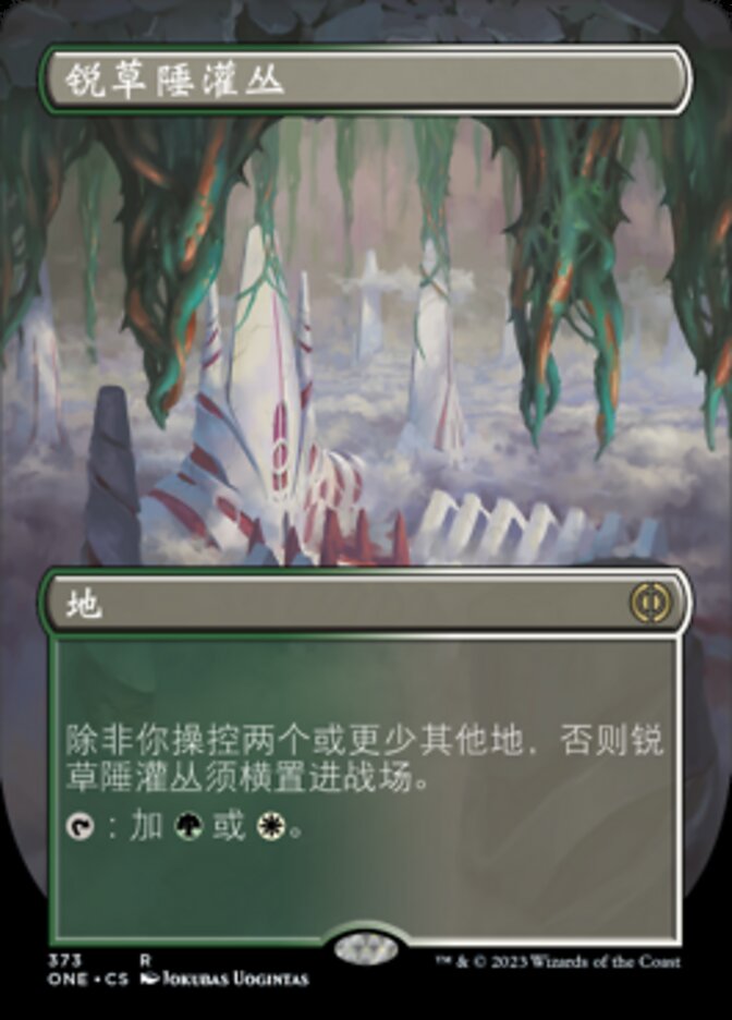 锐草陲灌丛