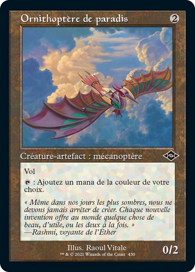 Ornithoptère de paradis