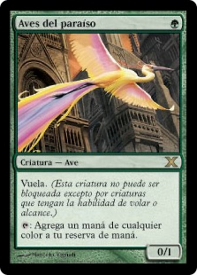 Aves del paraíso