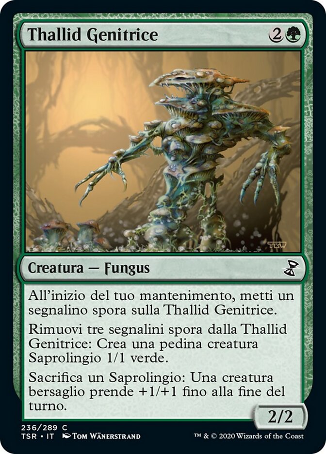 Thallid Genitrice
