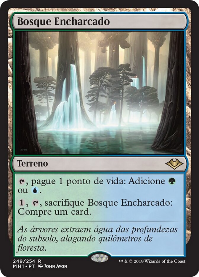Bosque Encharcado