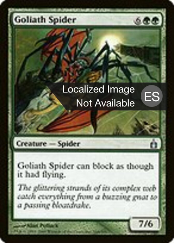 Araña Goliat