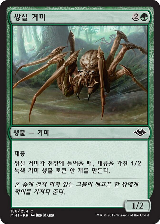 쌍실 거미