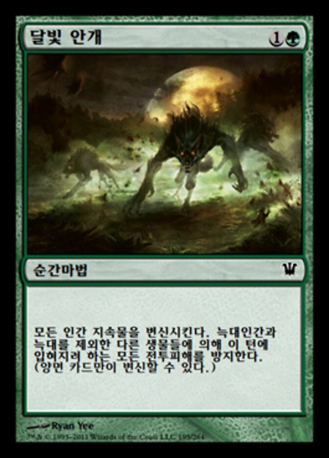 달빛 안개