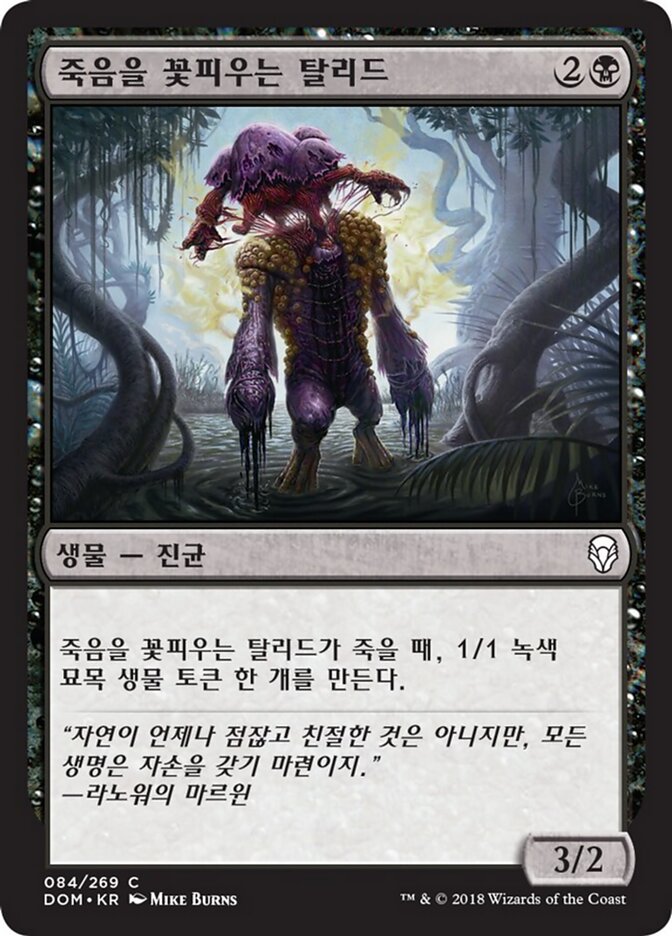 죽음을 꽃피우는 탈리드