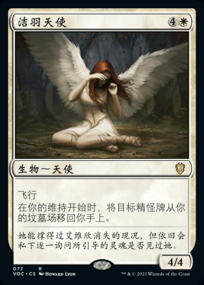 洁羽天使