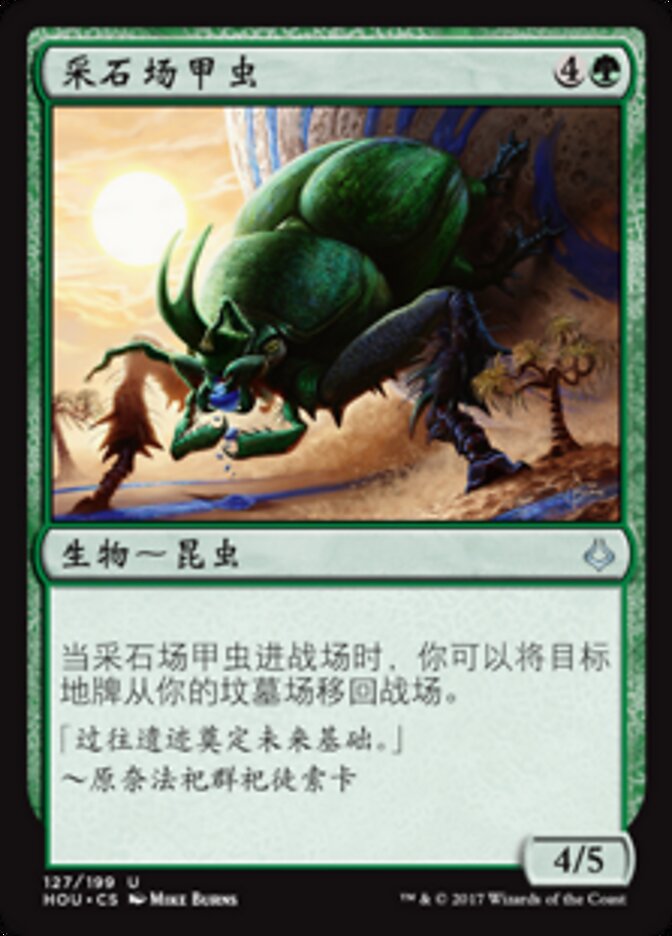 采石场甲虫