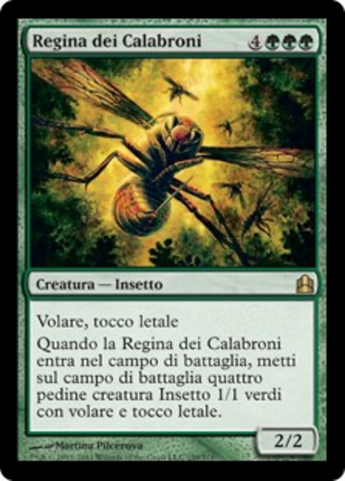 Regina dei Calabroni