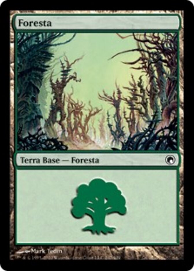 Foresta