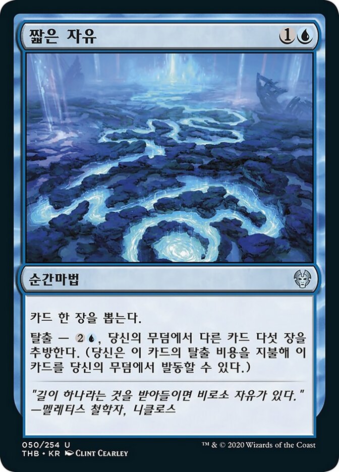 짧은 자유