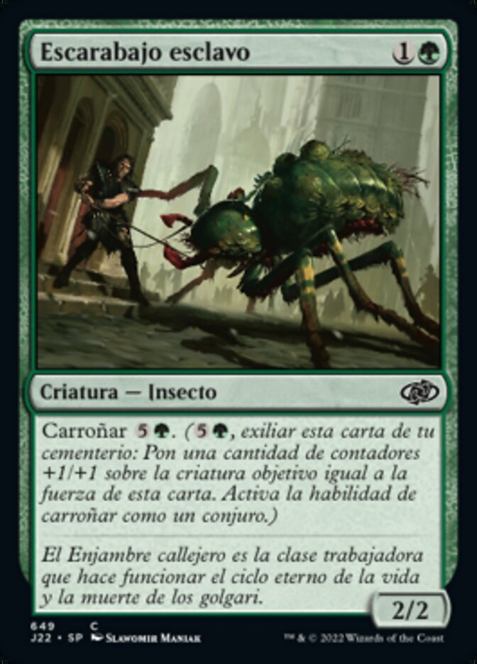 Escarabajo esclavo